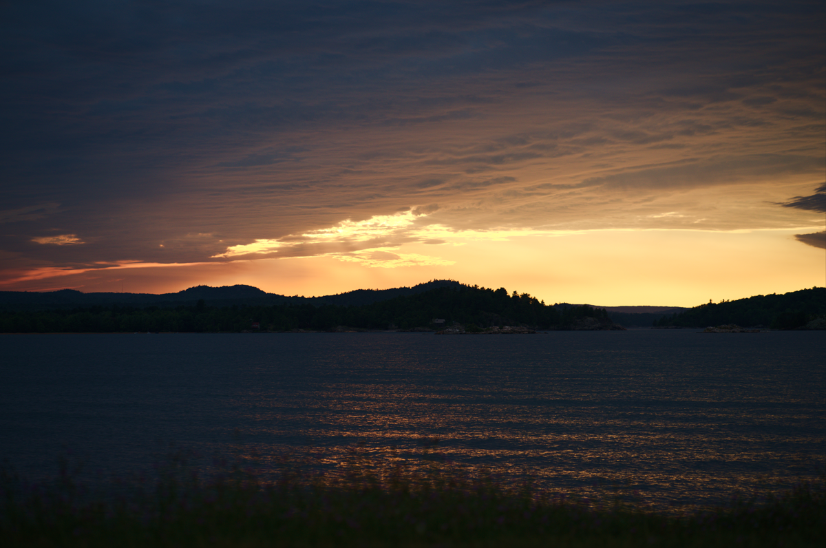 people dancing at the Summer Soirée 2025
